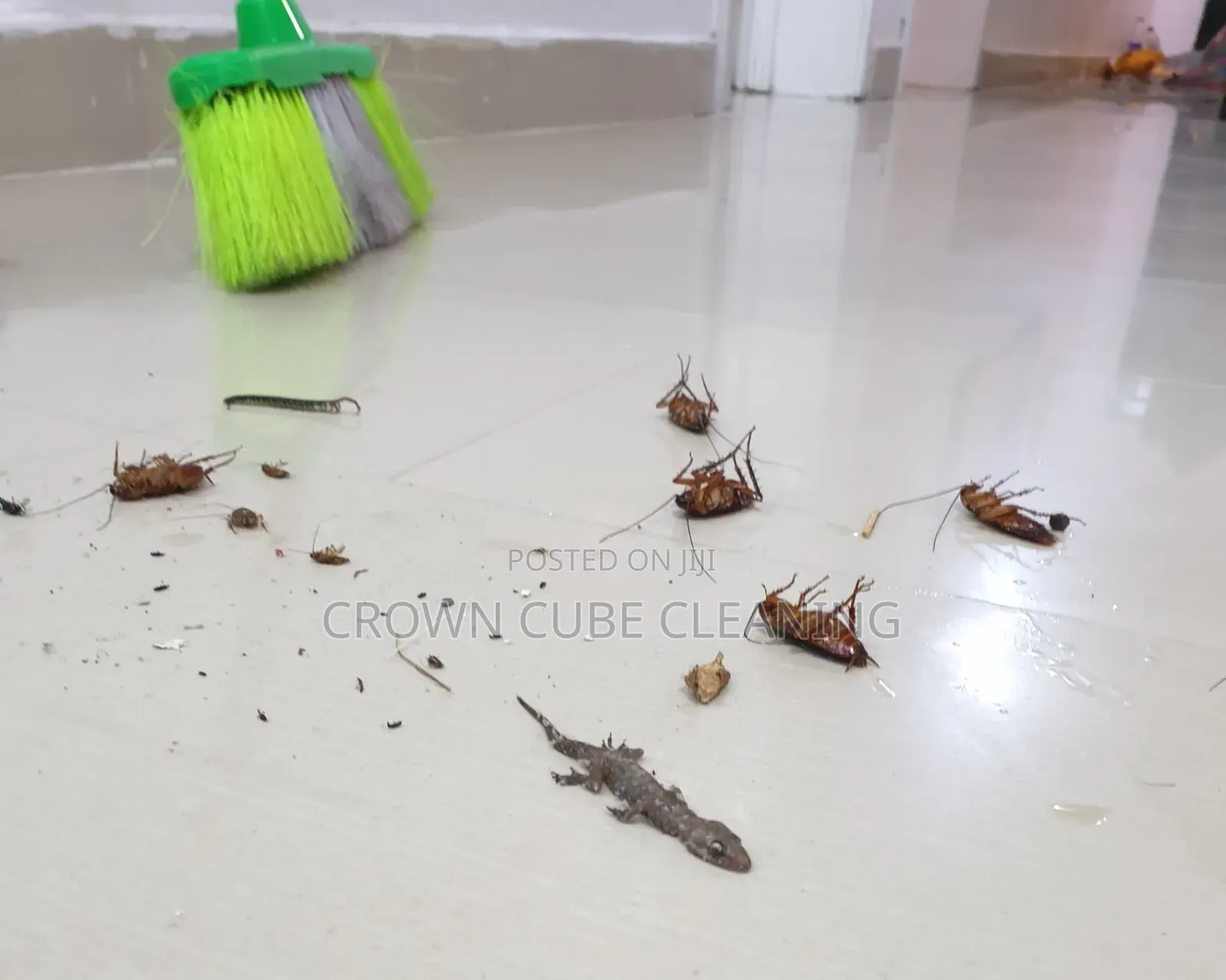 Cleaning Service in Ikeja/ Best Cleaning and Fumigation