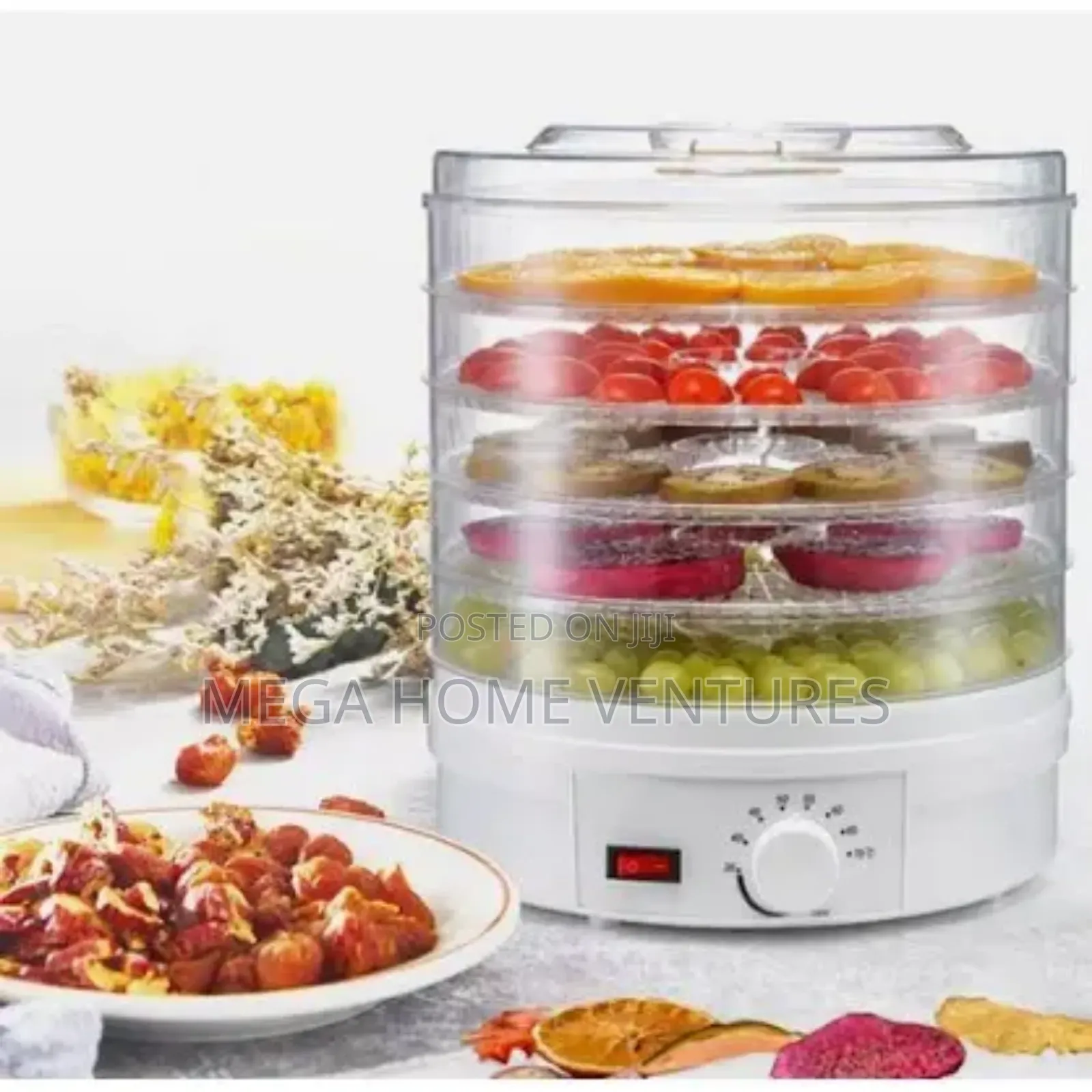 Avinas Electric Fruit Dryer