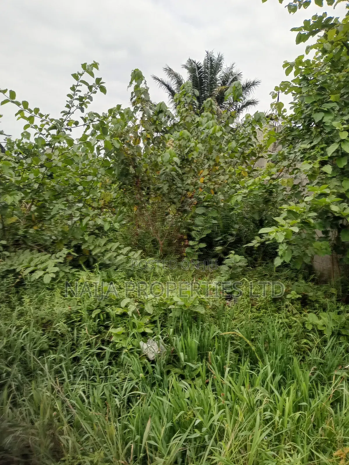 Full Plot of Land at Alatishe, Ibeju-Lekki for Sale