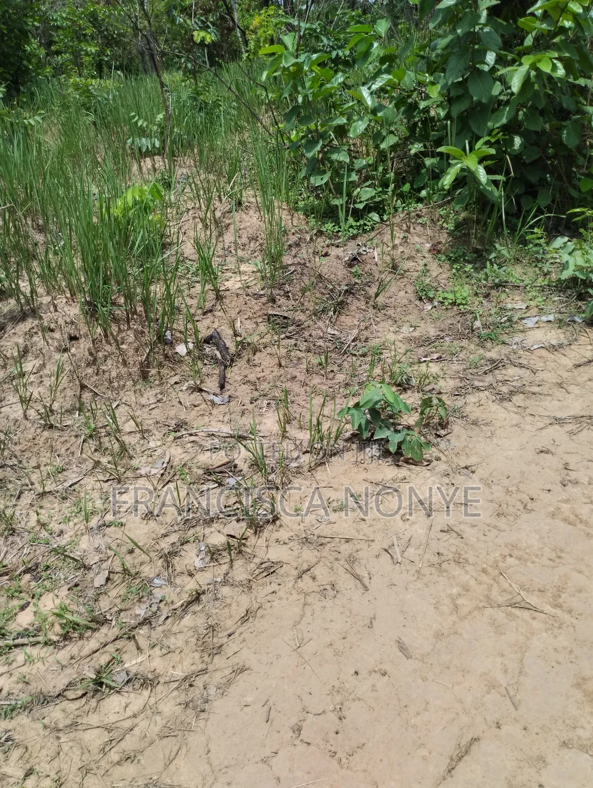 Genuine Plots Of Land For Sale