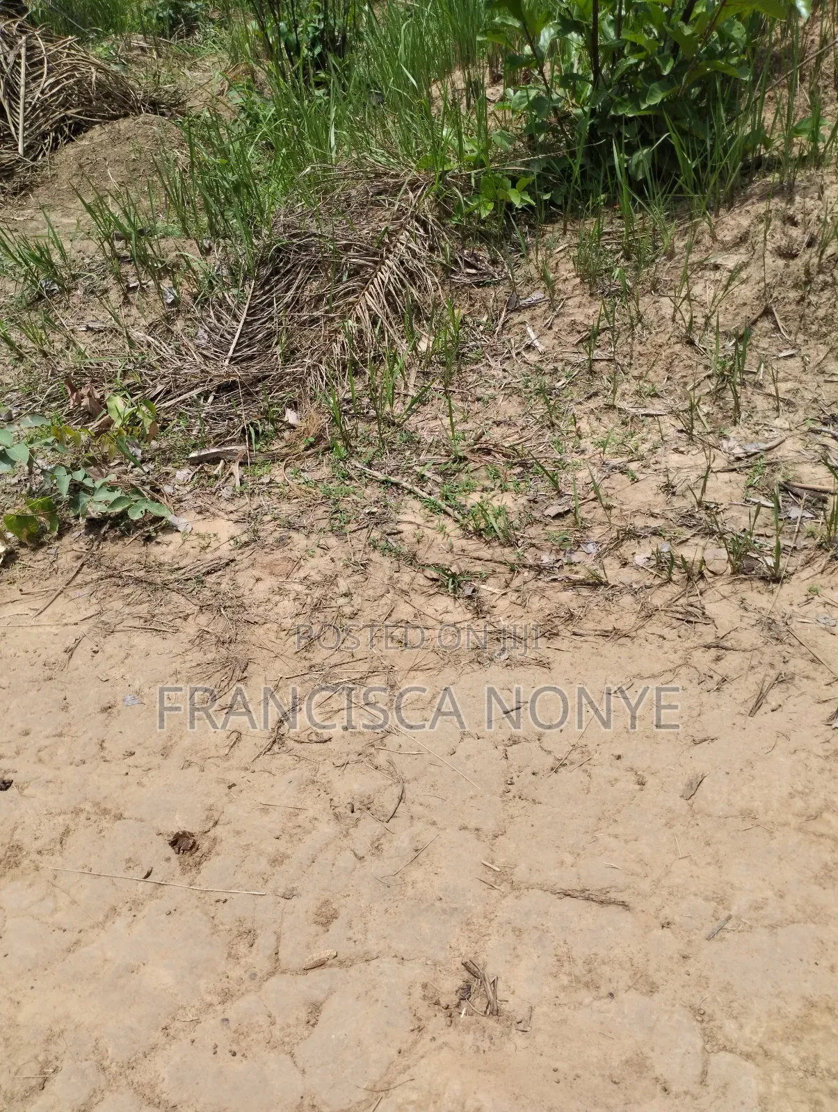 Genuine Plots Of Land For Sale