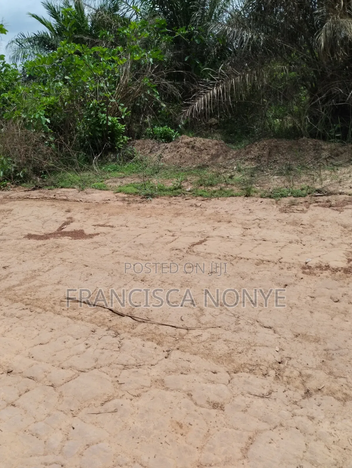 Genuine Plots Of Land For Sale