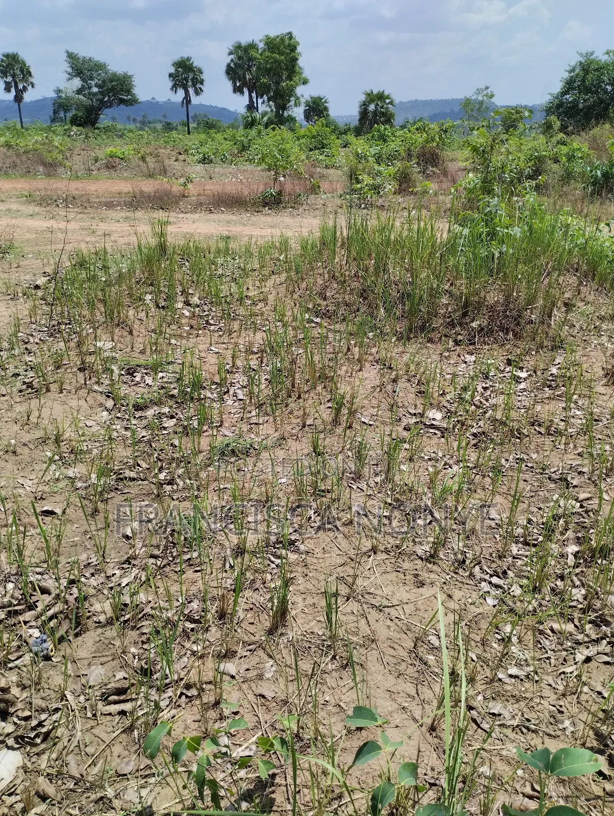 Genuine Plots Of Land For Sale