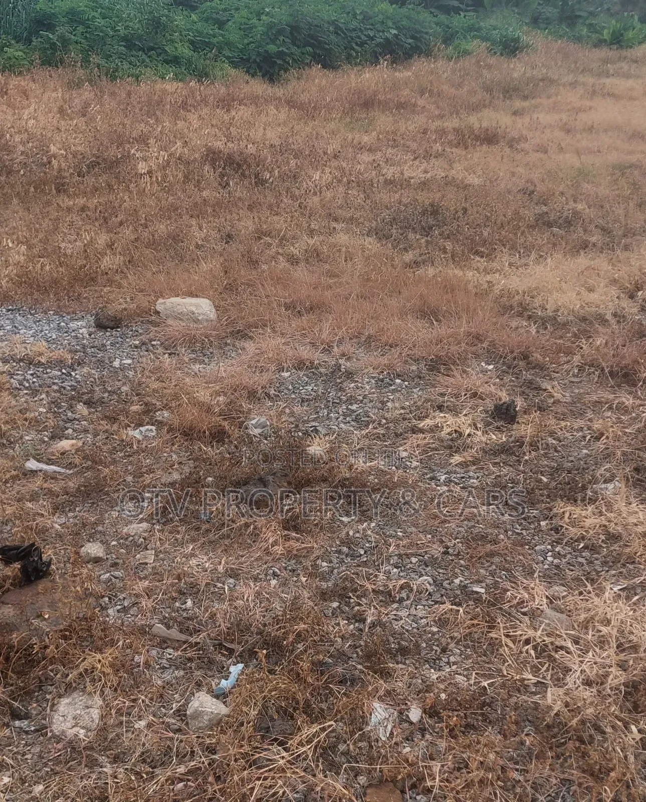 Prime Commercial 10,000 SQM Land Directly on Chevron Drive