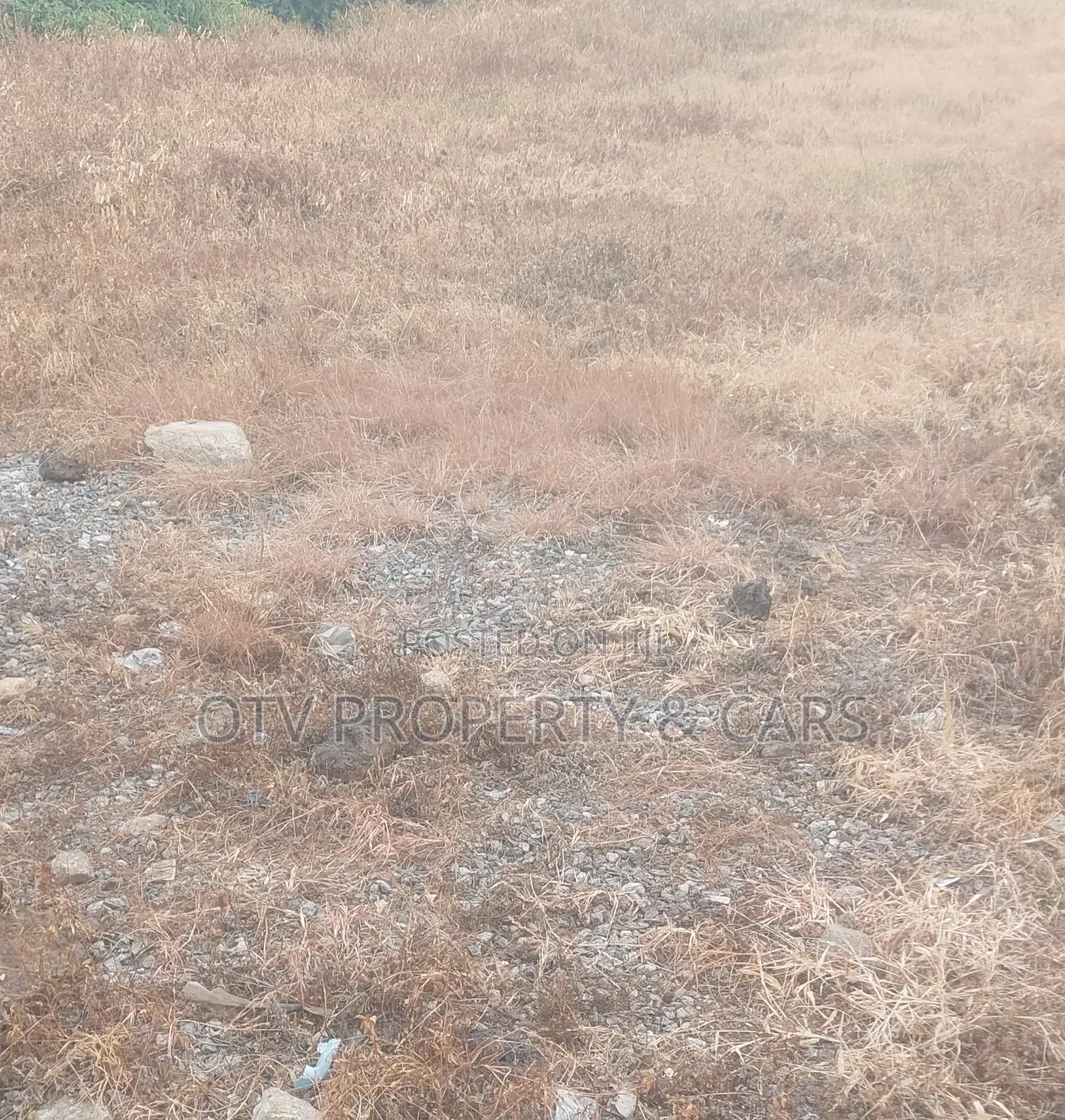 Prime Commercial 10,000 SQM Land Directly on Chevron Drive