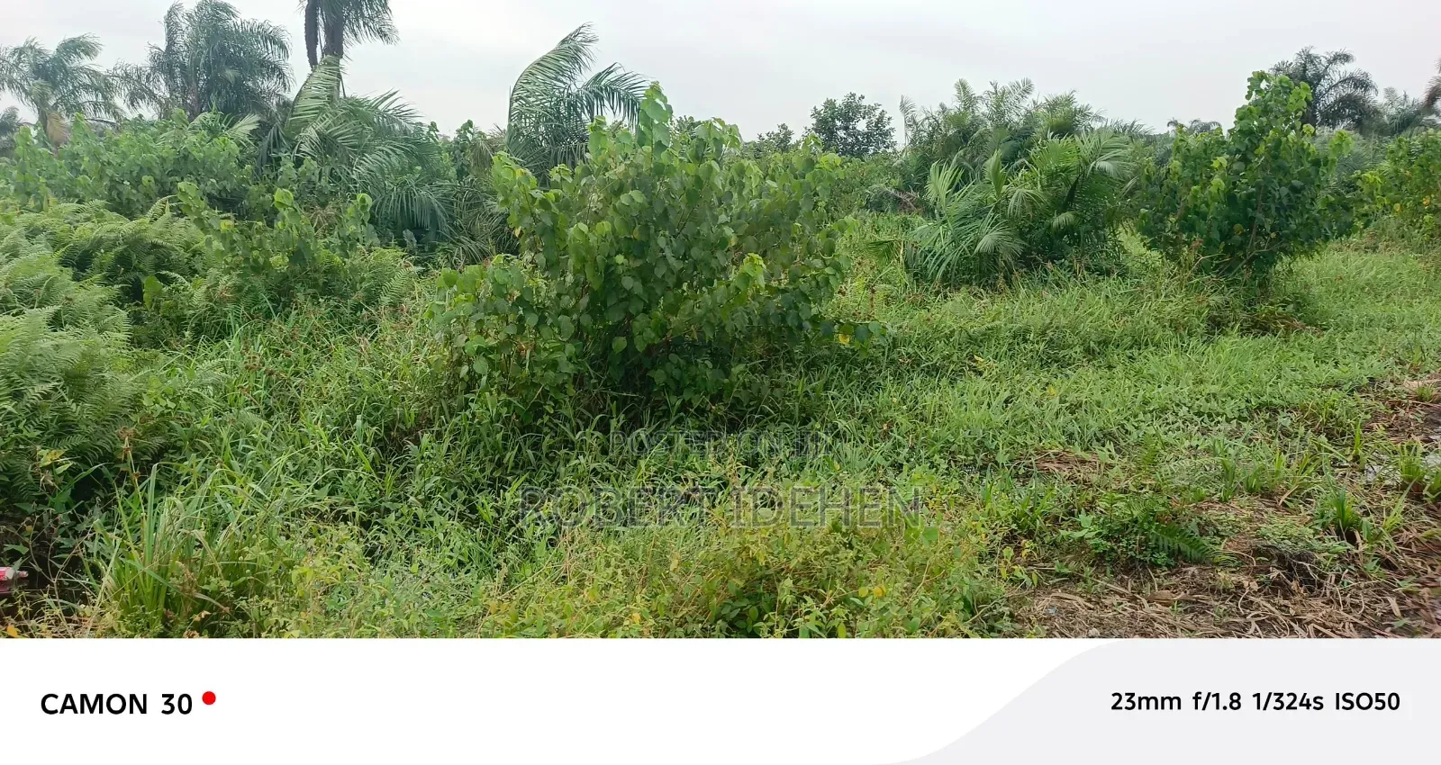 Lucrative Real Estate Investment Opportunity