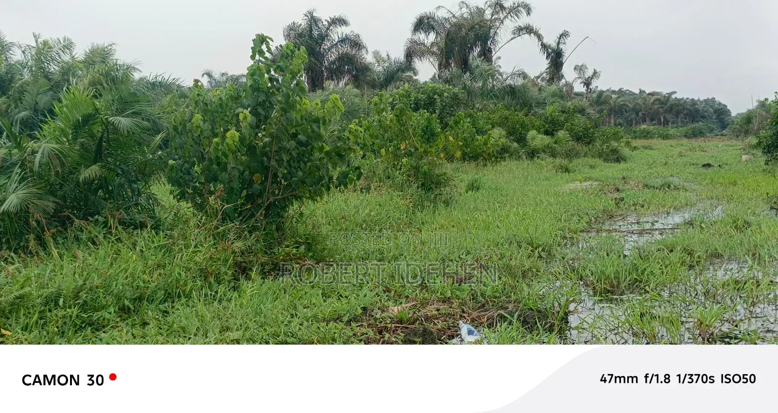 Lucrative Real Estate Investment Opportunity