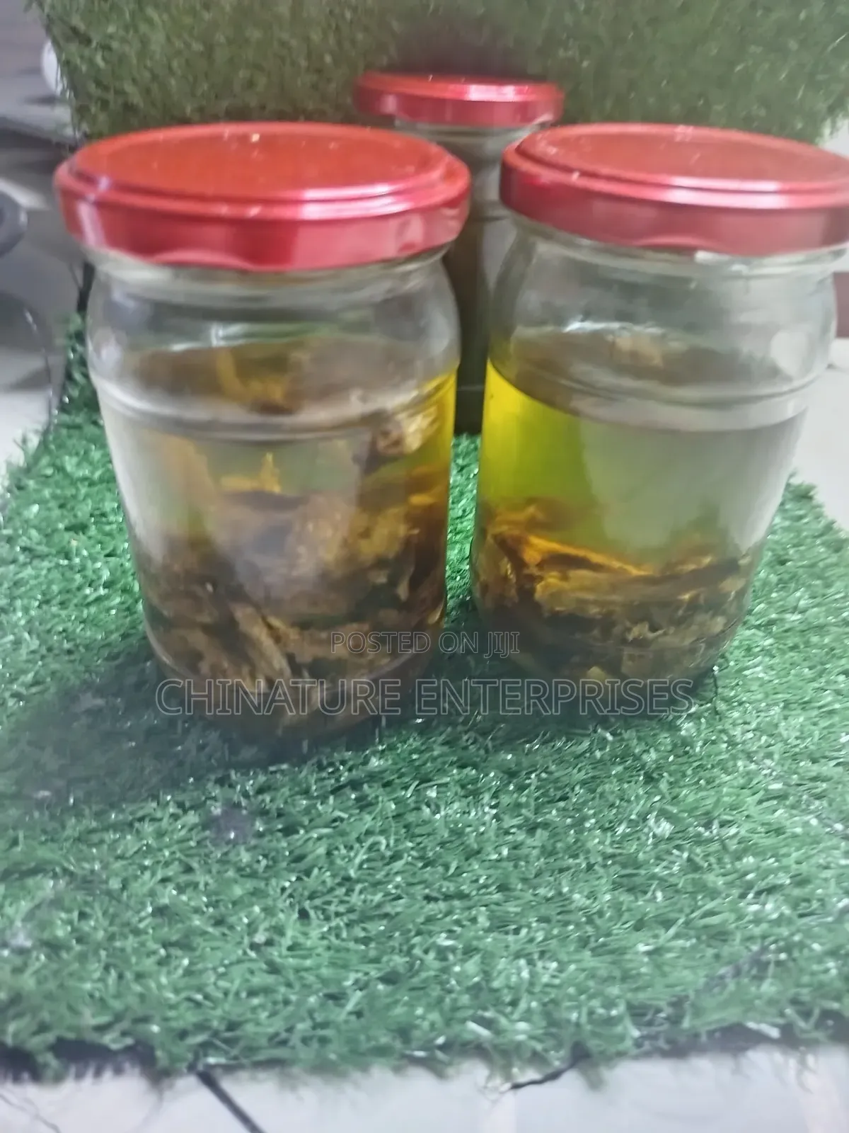 Poke Root Infused Castor Oil 150ml )External Use Only