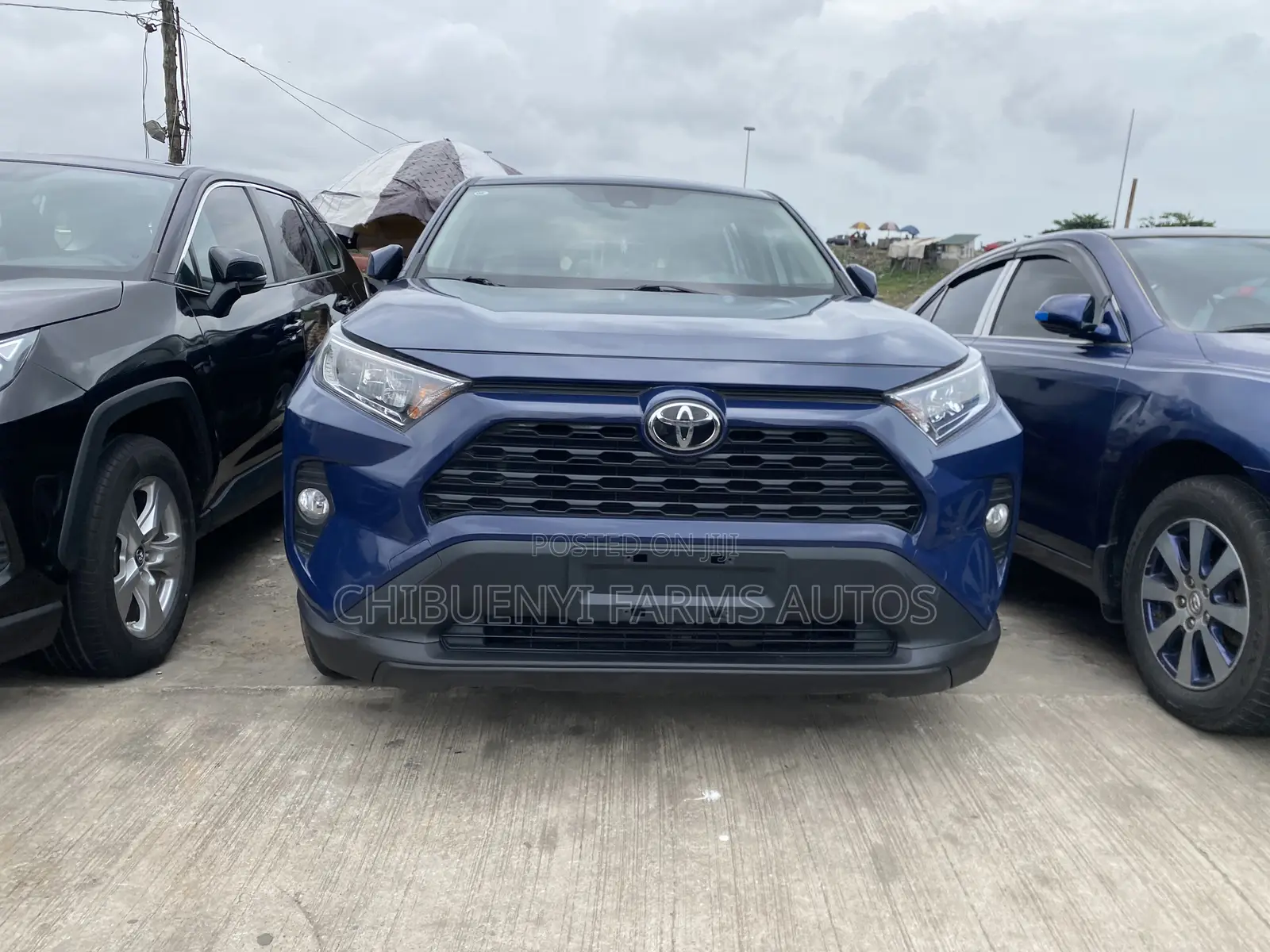 Toyota RAV4 XLE AWD 2020 Blue