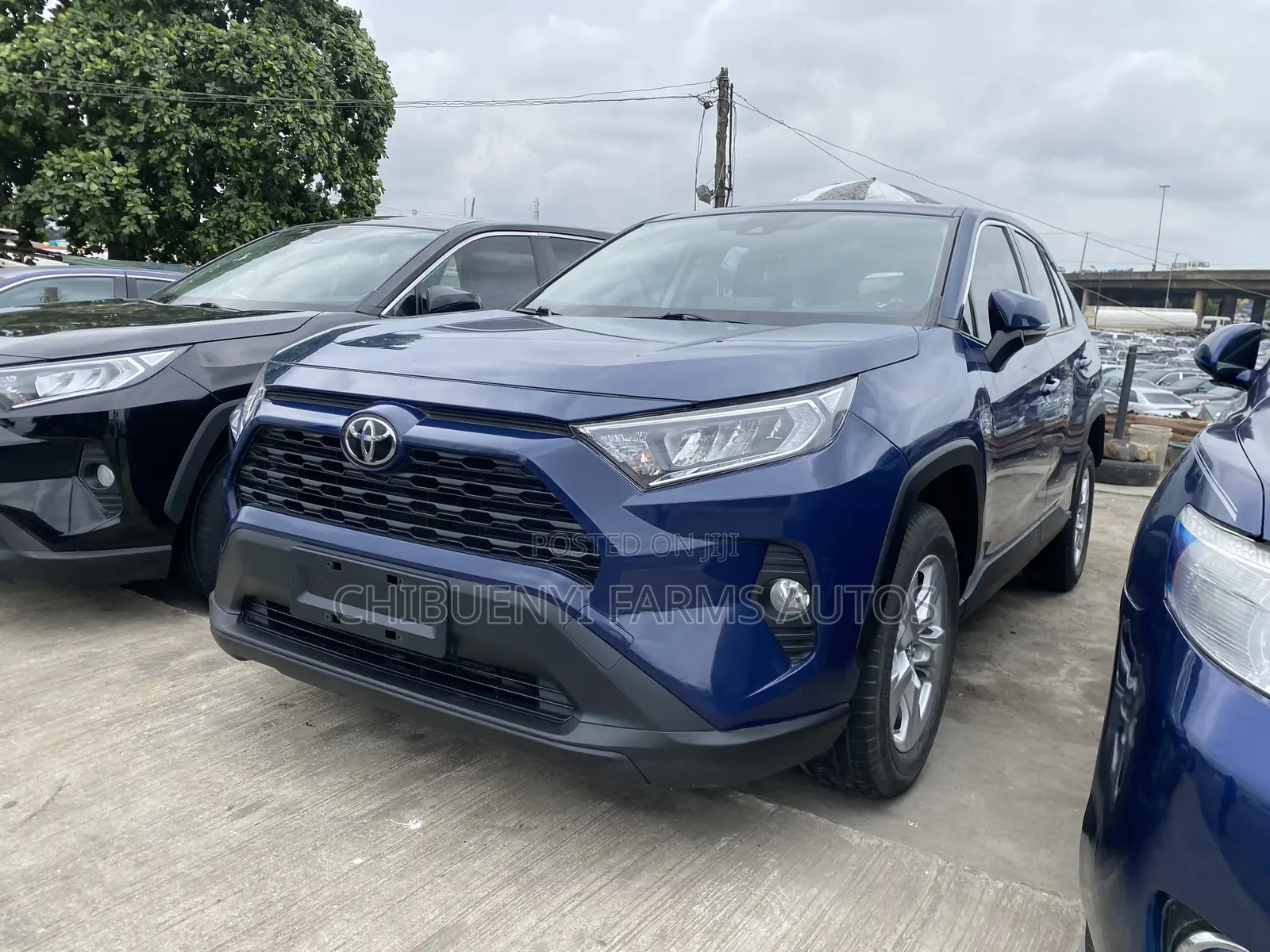 Toyota RAV4 XLE AWD 2020 Blue