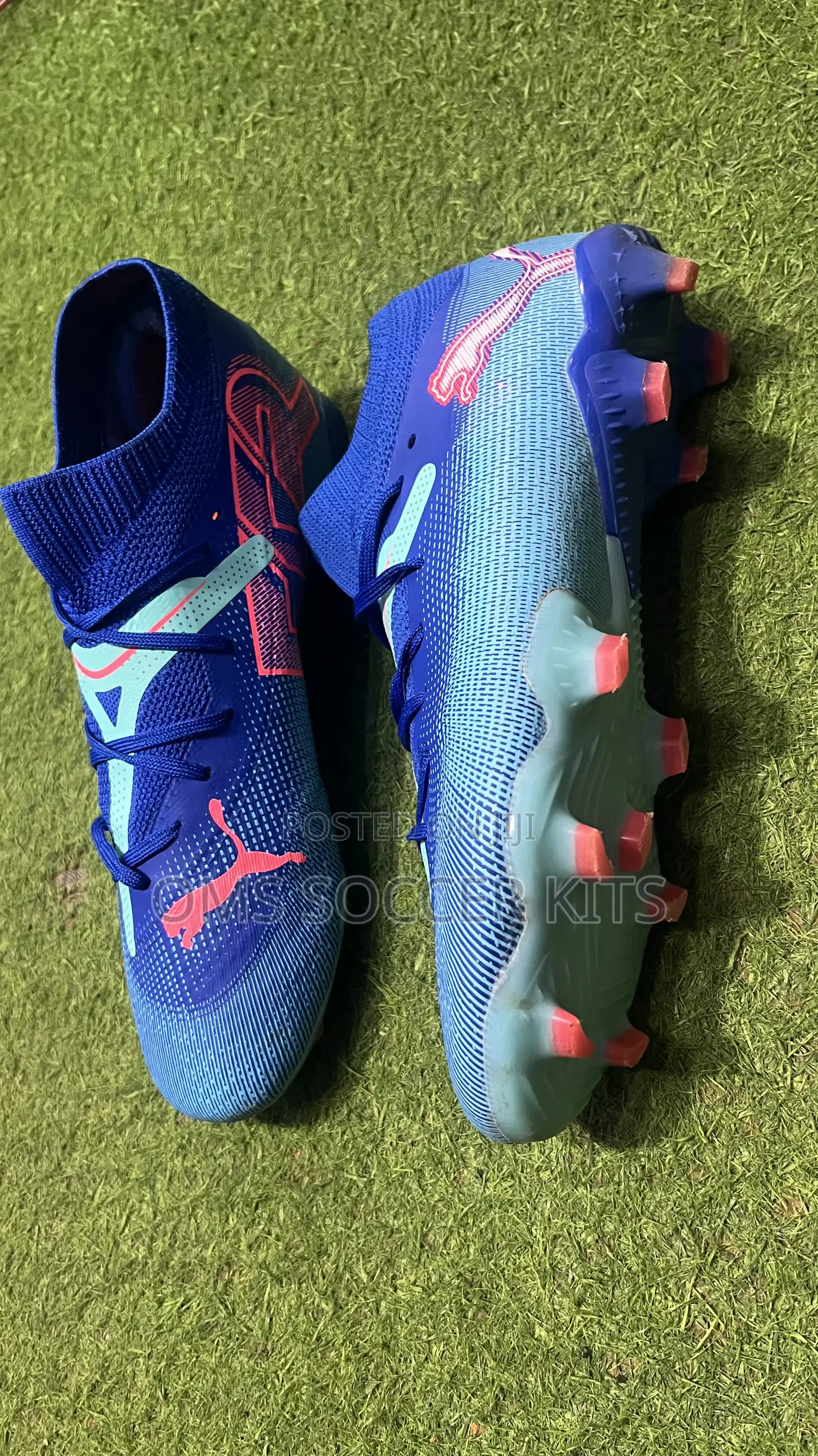 Puma Future Ultimate Fg (45)