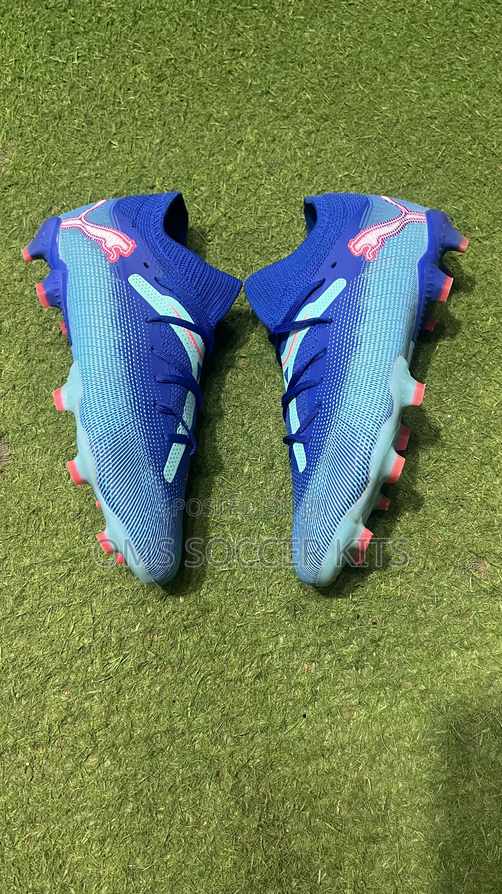 Puma Future Ultimate Fg (45)