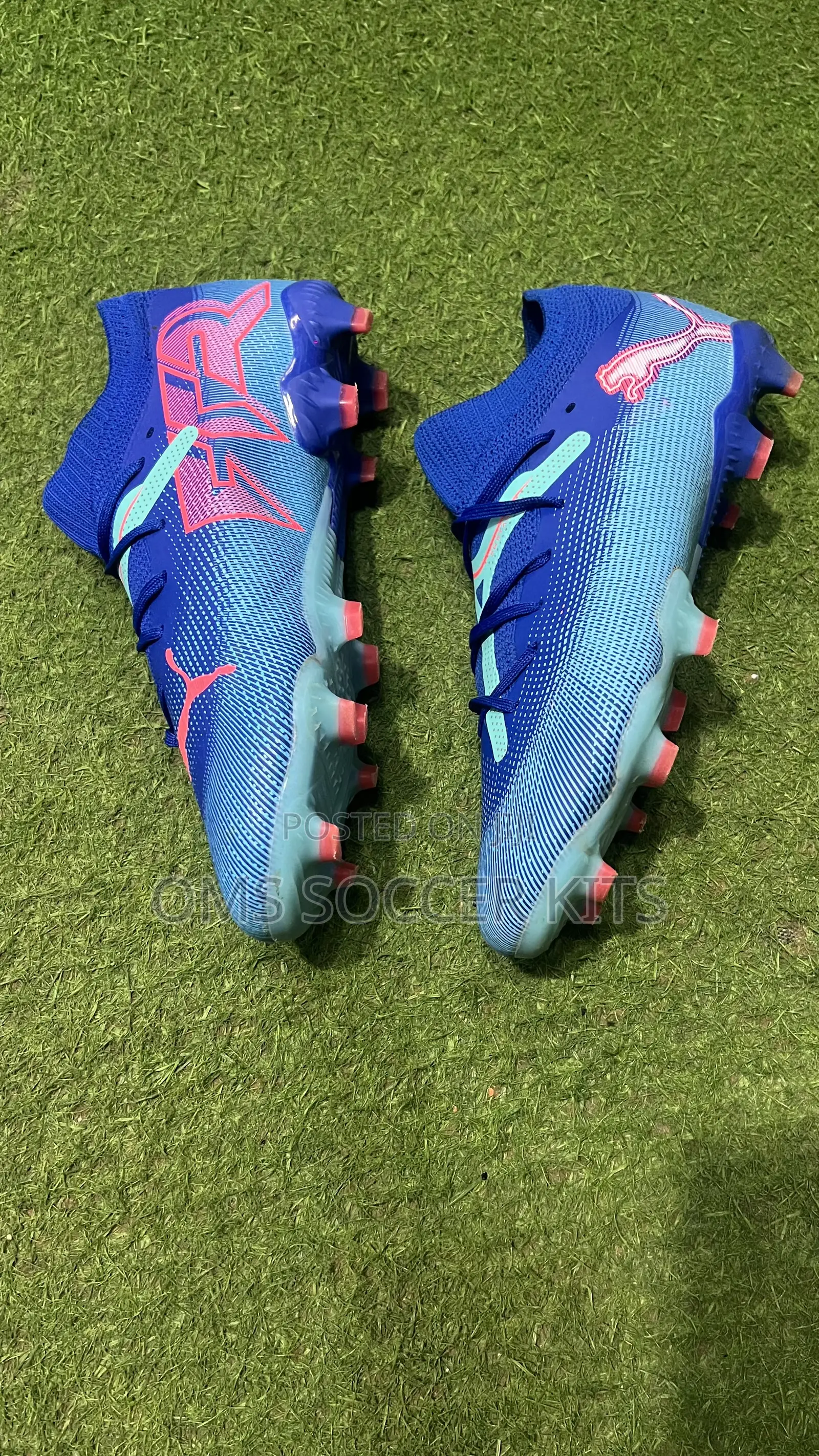 Puma Future Ultimate Fg (45)