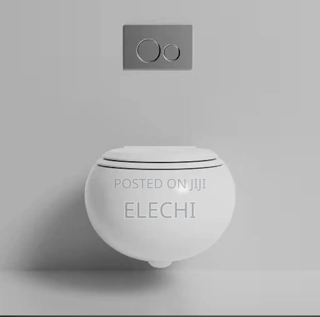Excutive Wall Mounted Wc (Egg Design)