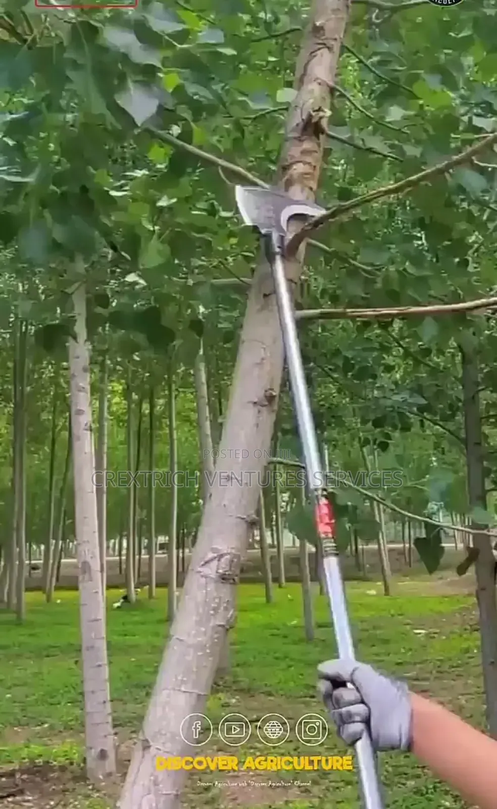 Heavy-Duty Double Edged Pruner
