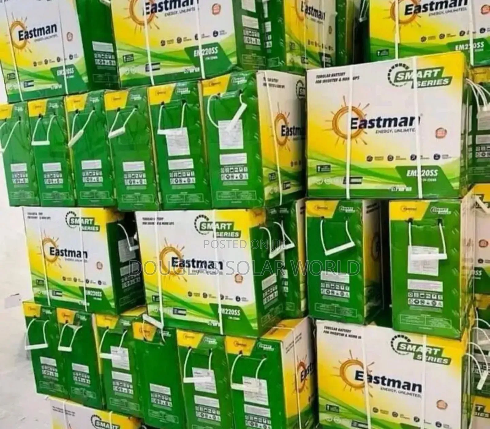 220a Eastman Tubular Battery