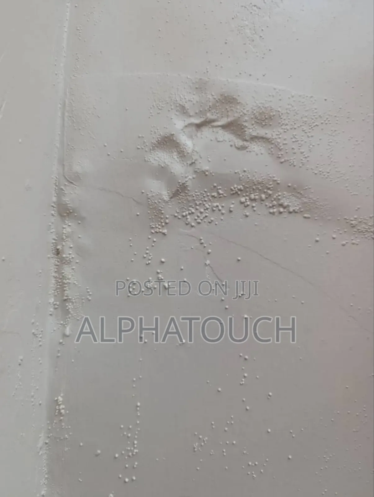 Wall Dampness Treatment