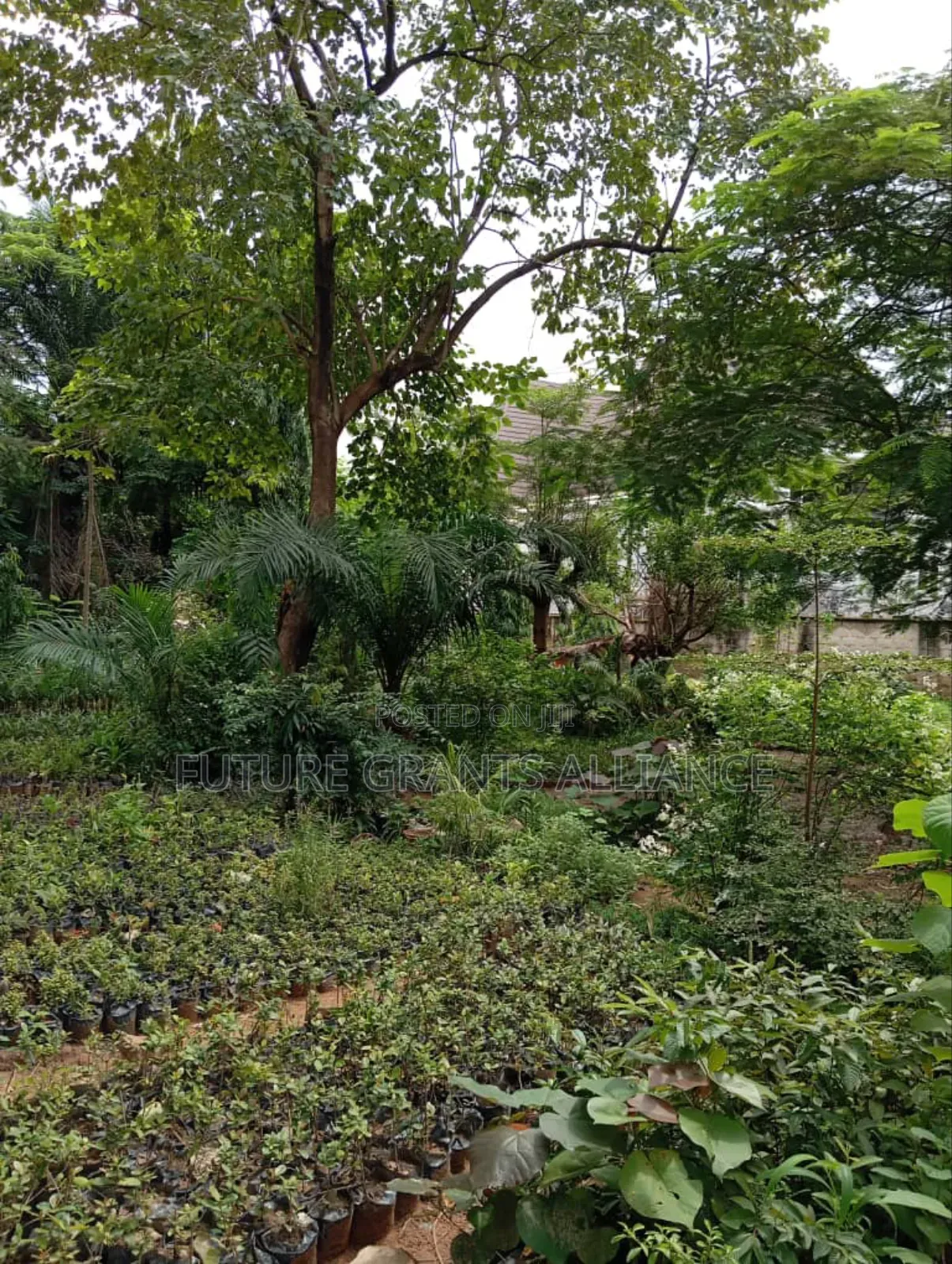 Farm Land at Joga Orile