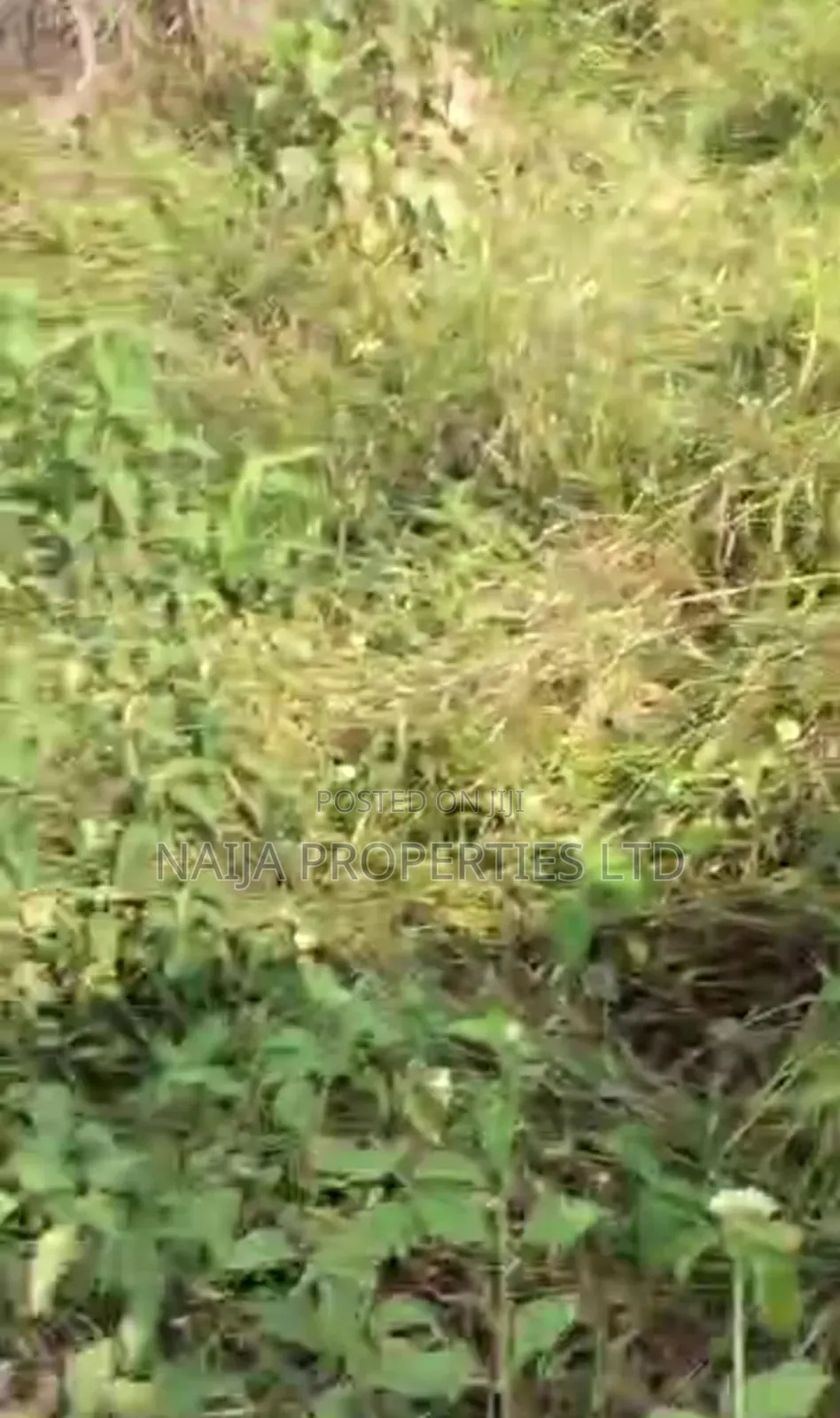 Full Plot of Land at Baba Adisa, Ibeju-Lekki for Sale