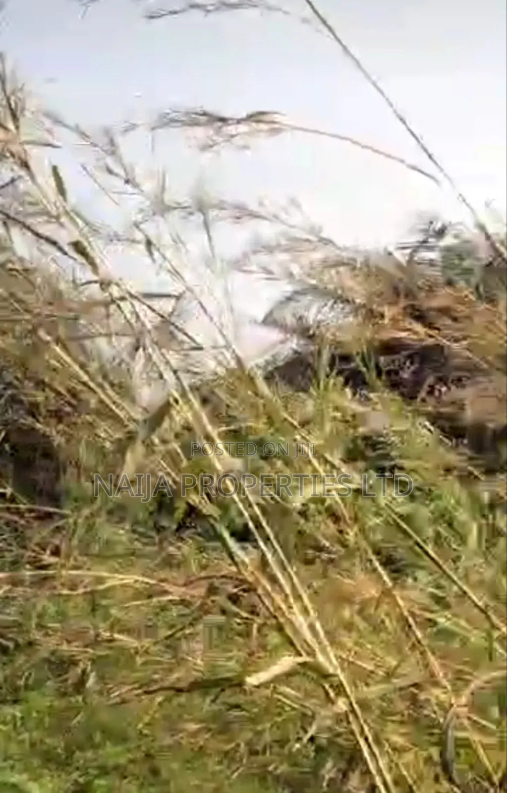 Full Plot of Land at Baba Adisa, Ibeju-Lekki for Sale