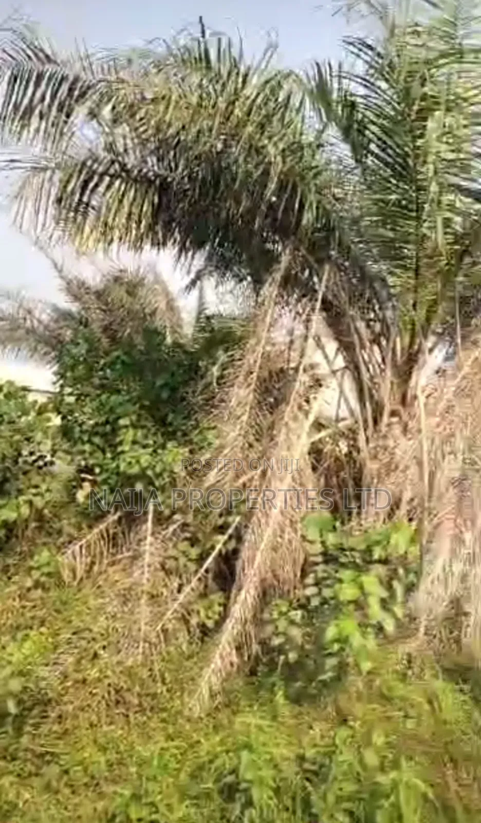 Full Plot of Land at Baba Adisa, Ibeju-Lekki for Sale