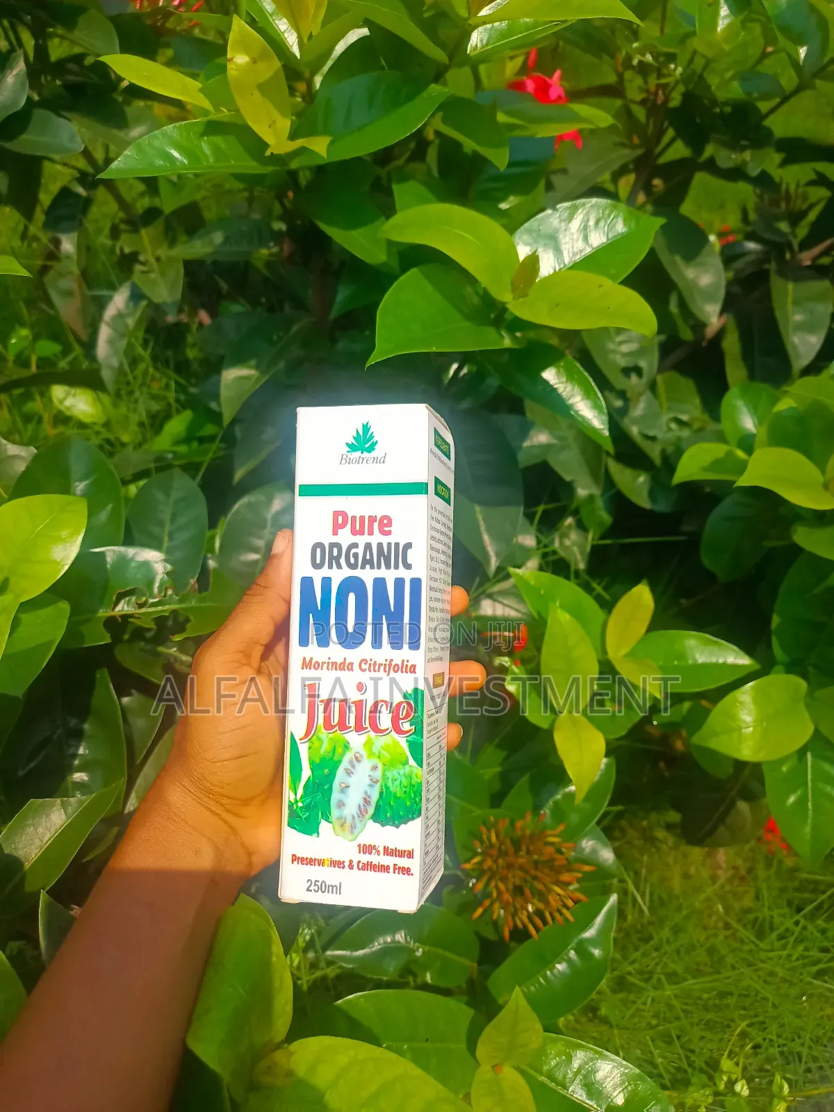 Pure Organic Noni Moringa Citrifolia Juice