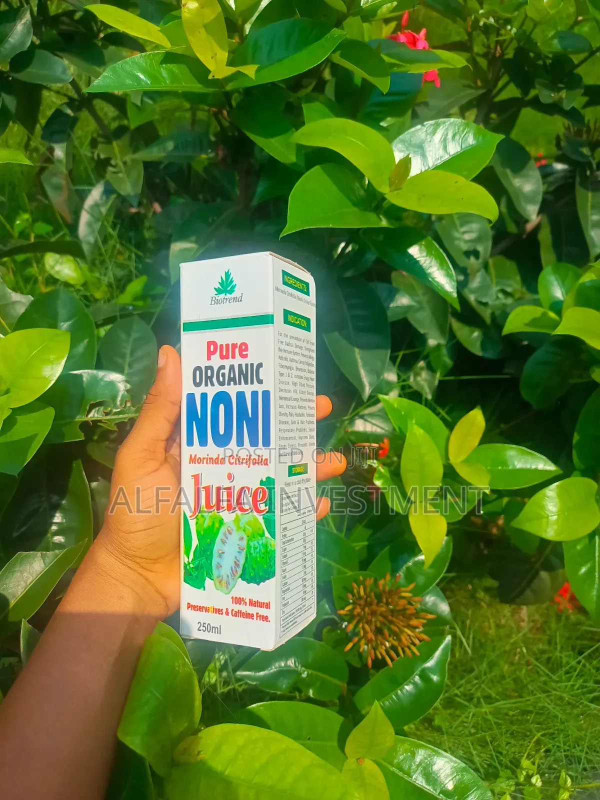 Pure Organic Noni Moringa Citrifolia Juice