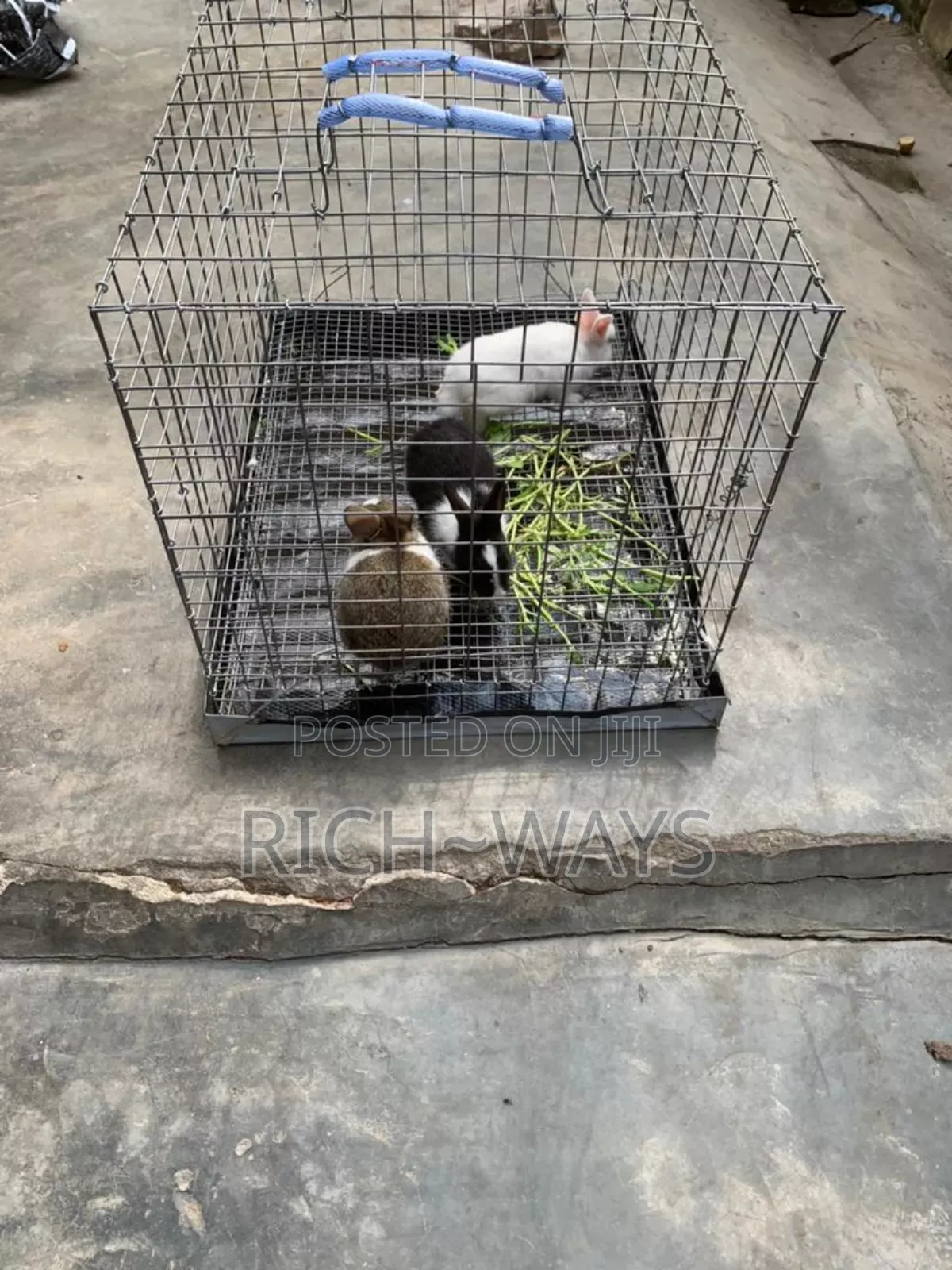 Pet Rabbit Cage