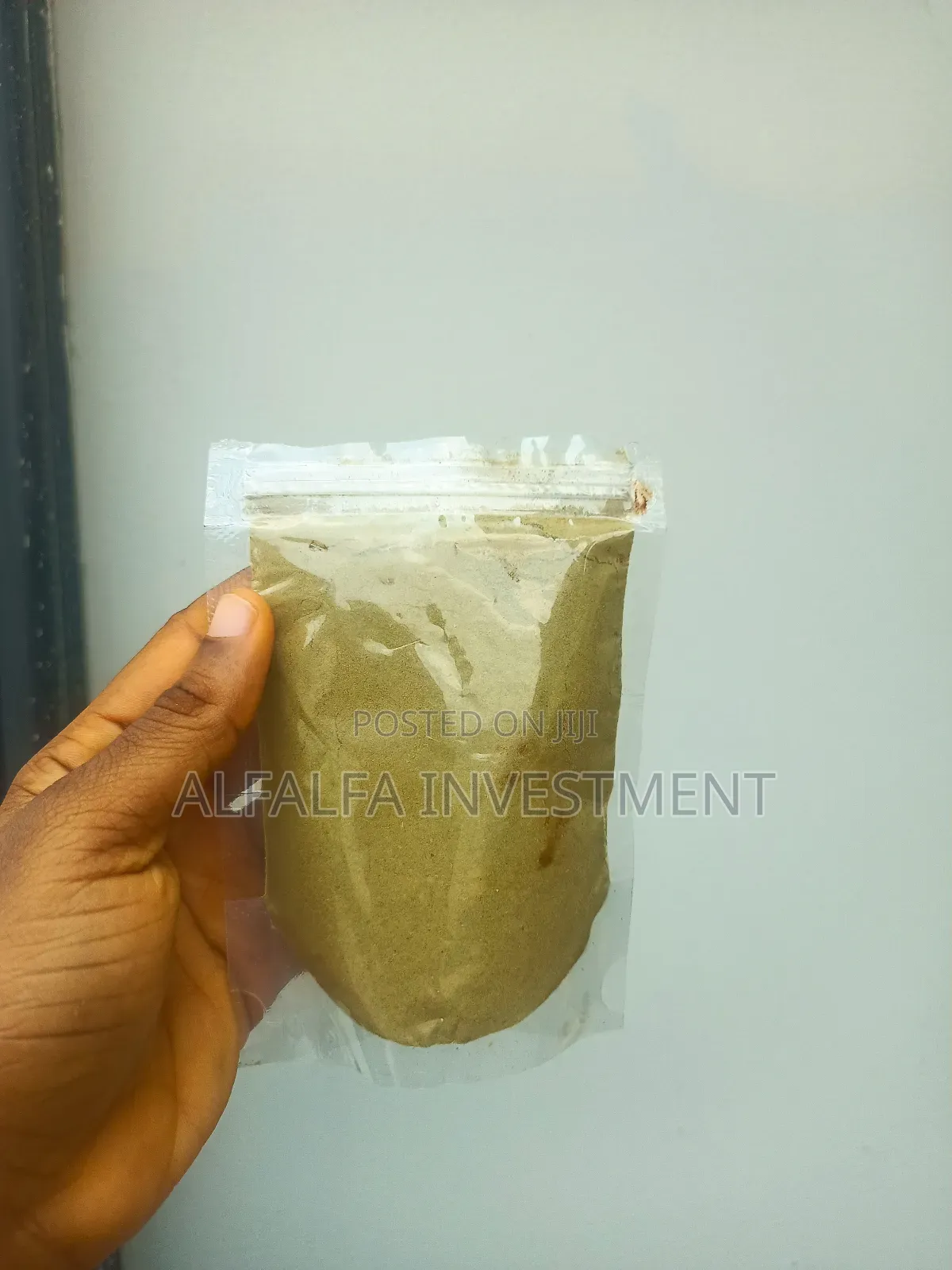 Ginkgo Biloba Powder