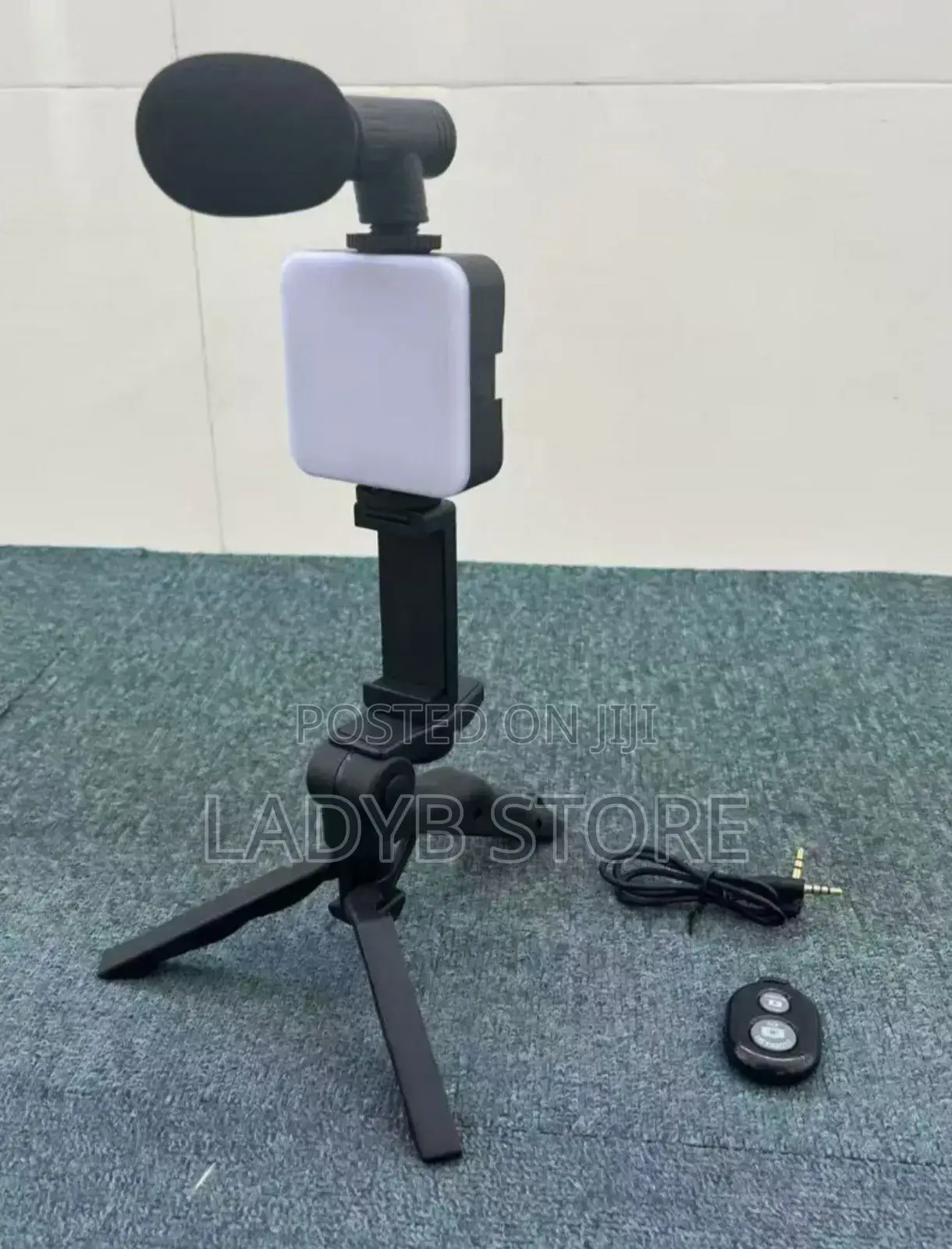 Video Making Kit Light