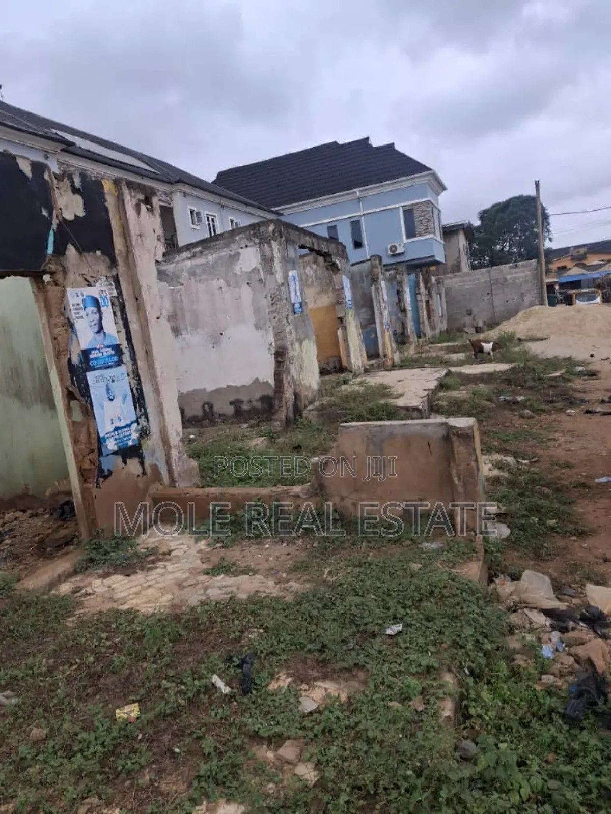 Half Plot of Dry Land 4 Sale Shasha Near Egbeda