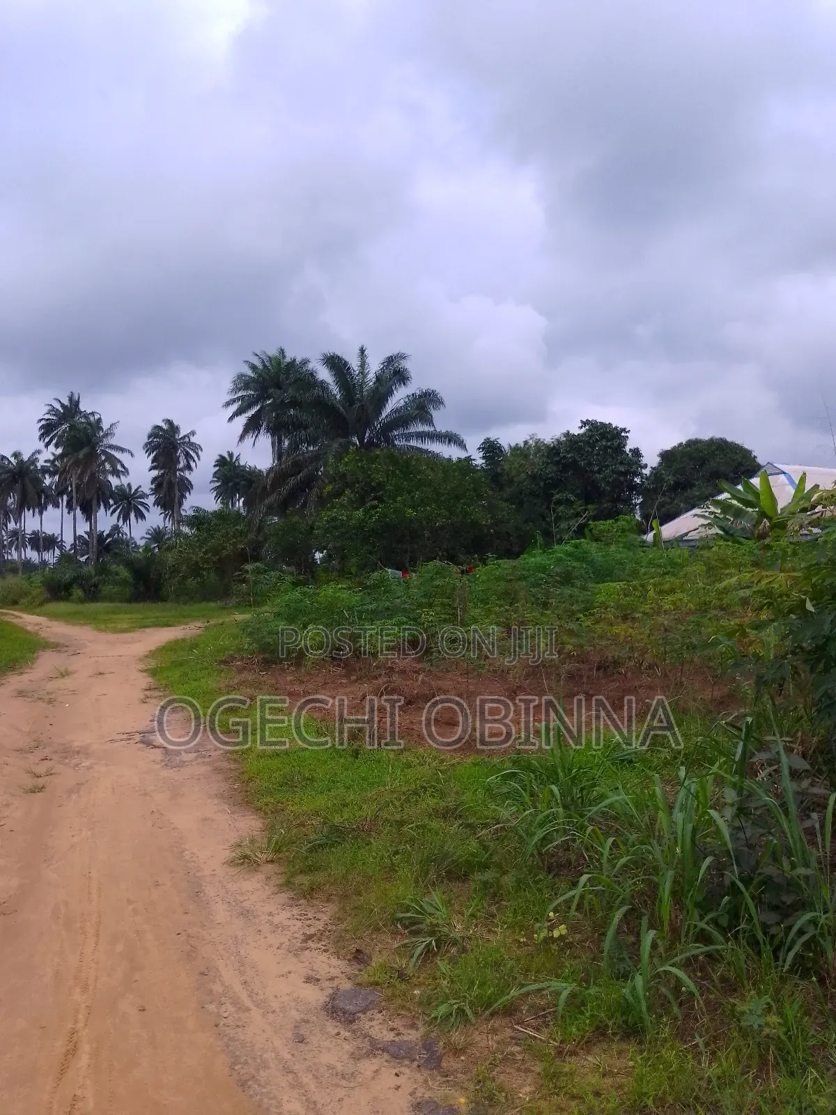 Distress Buy Build Genuine 15 Plots 4 Sale at Abara Etche