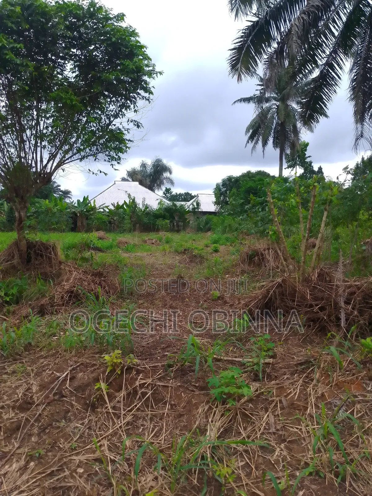 Distress Buy Build Genuine 15 Plots 4 Sale at Abara Etche