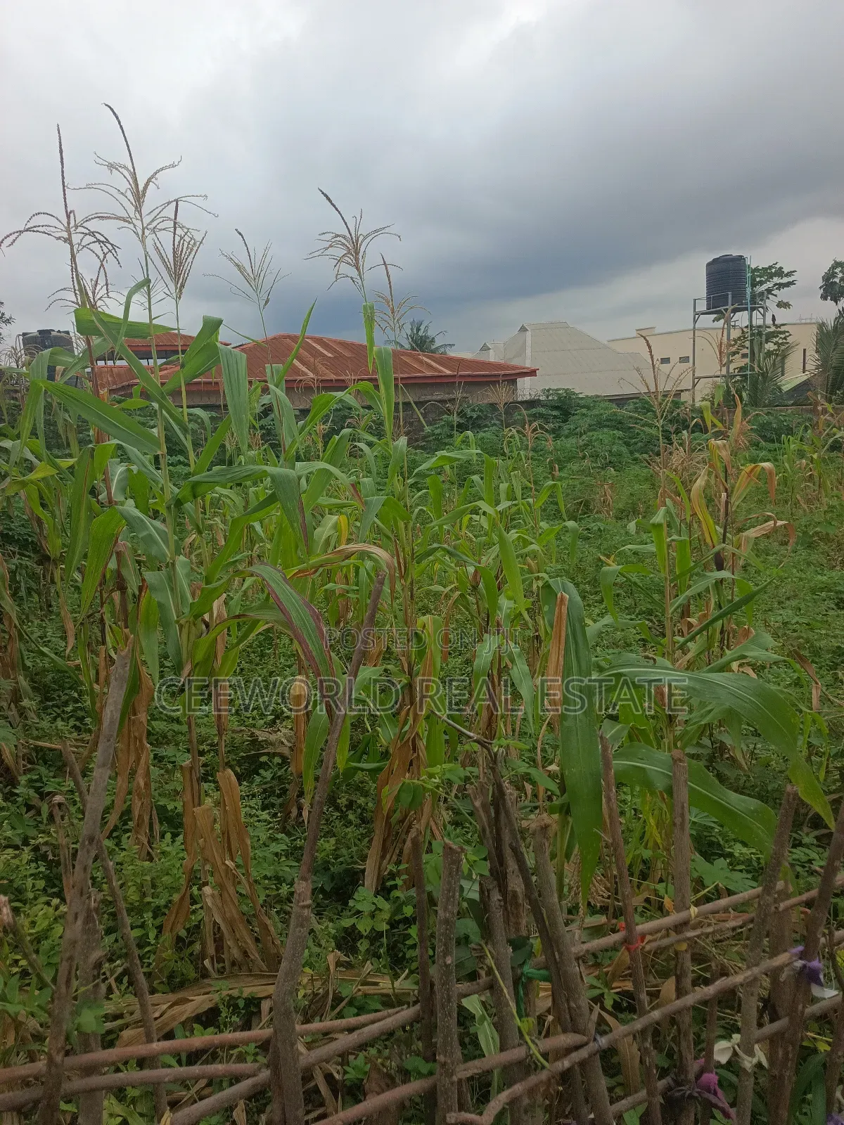 Over 1plot of Land at Alpha Grace Estate