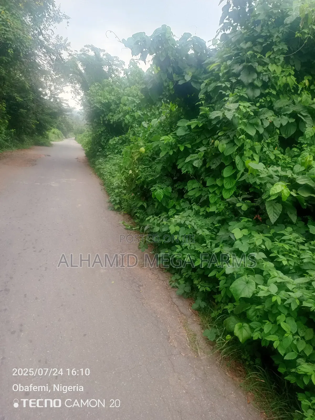 2000 Acres of Farmland for Sale at 300,000 Per Acre