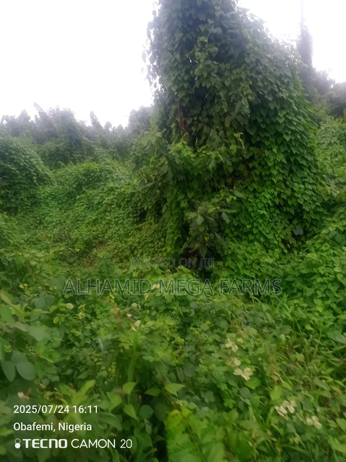 1000 Acres of Farmland at 180,000