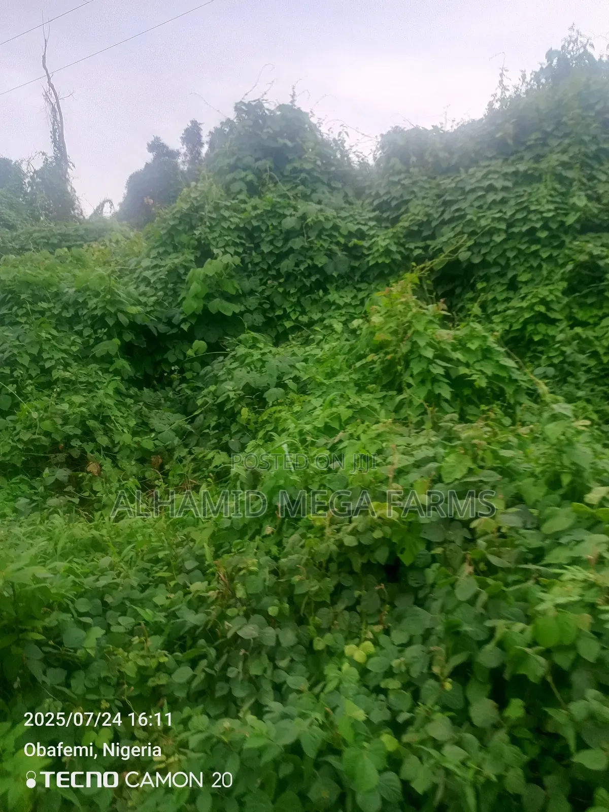 1000 Acres of Farmland at 180,000