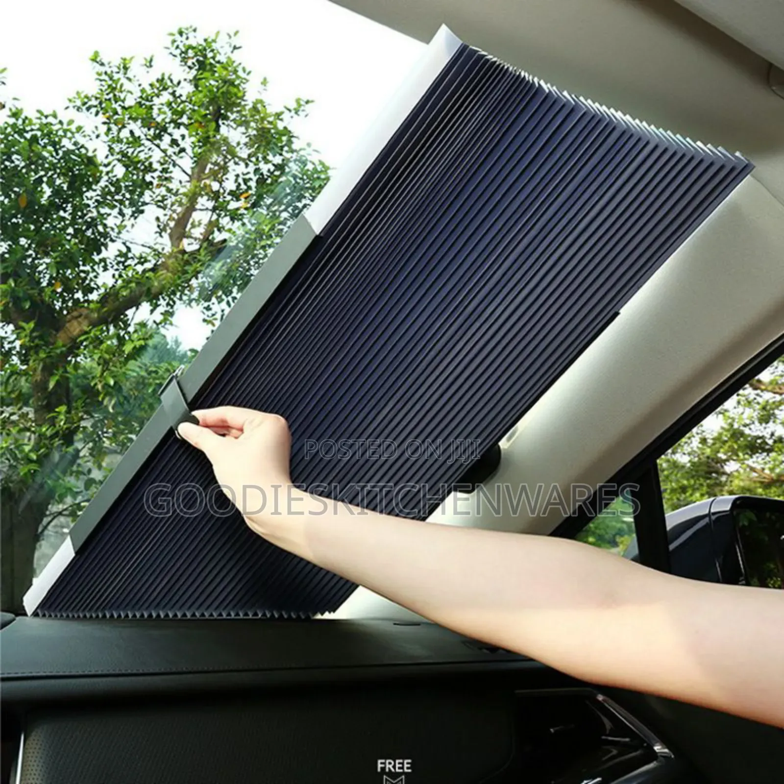 Retractable Car Shield