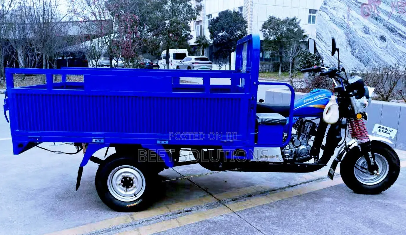New Tricycle 2025 Blue
