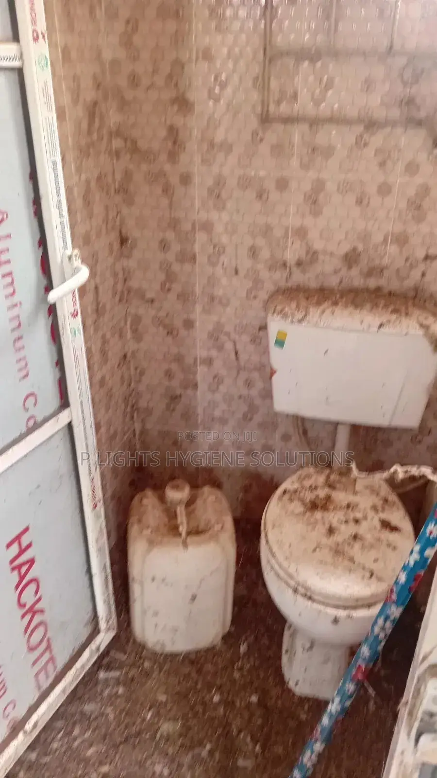 Professional Cleaning Services and Fumigation Services