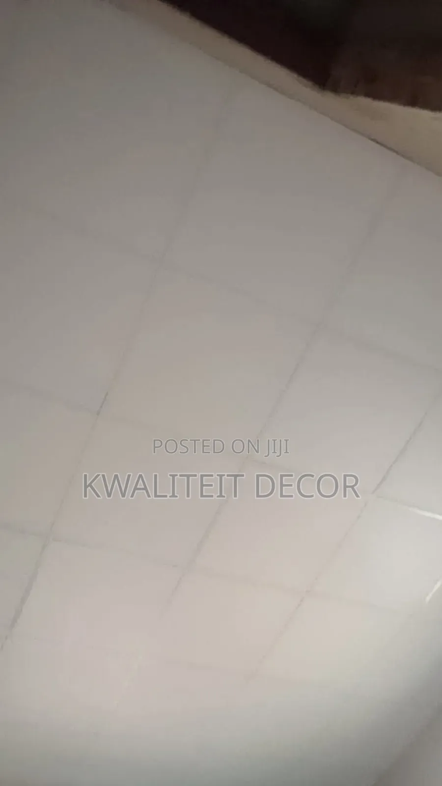 Professional Suspended Ceiling Expert