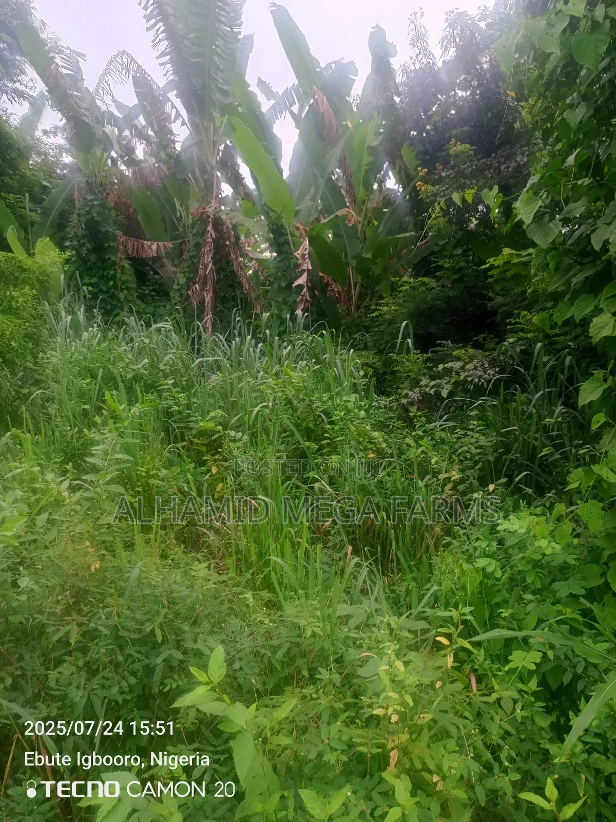725 Acres of Farmland for Sale With Coo