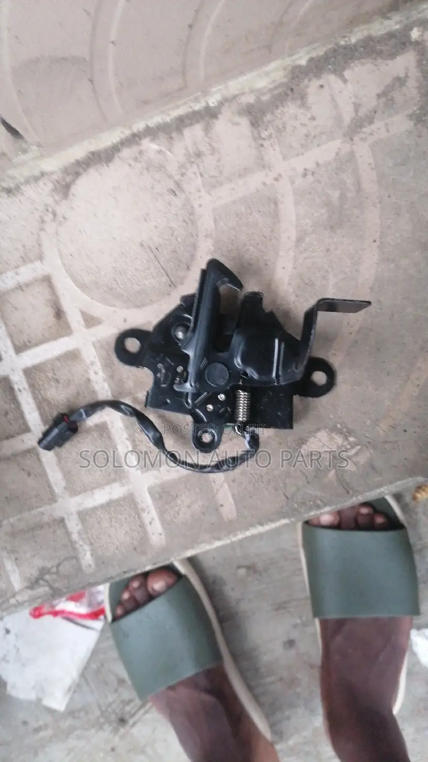 Bonnet Catcher Rx350 2023 2024 2025