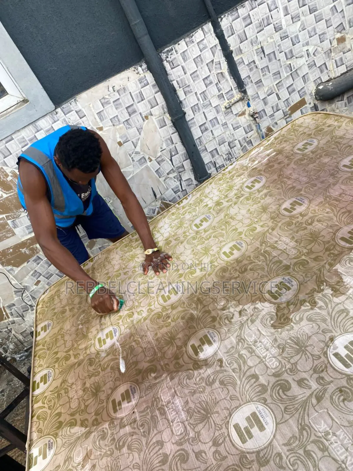 Mattress and Bedbug Treatment