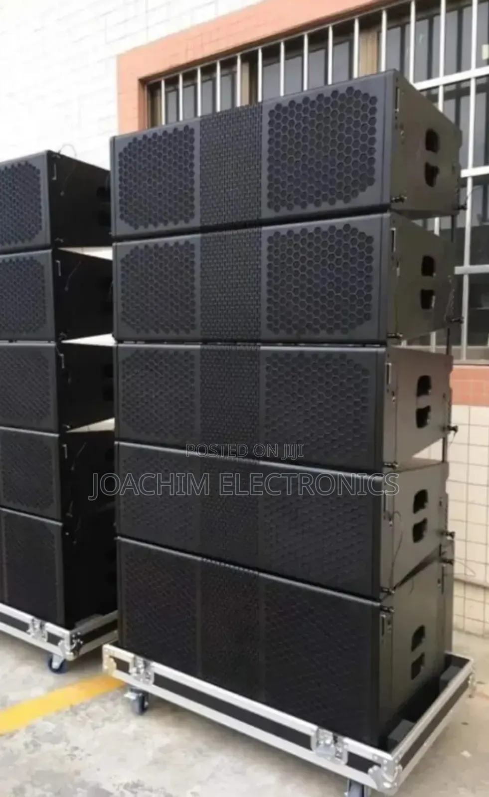 Ariz Professional Line Arrays Speaker 10"
