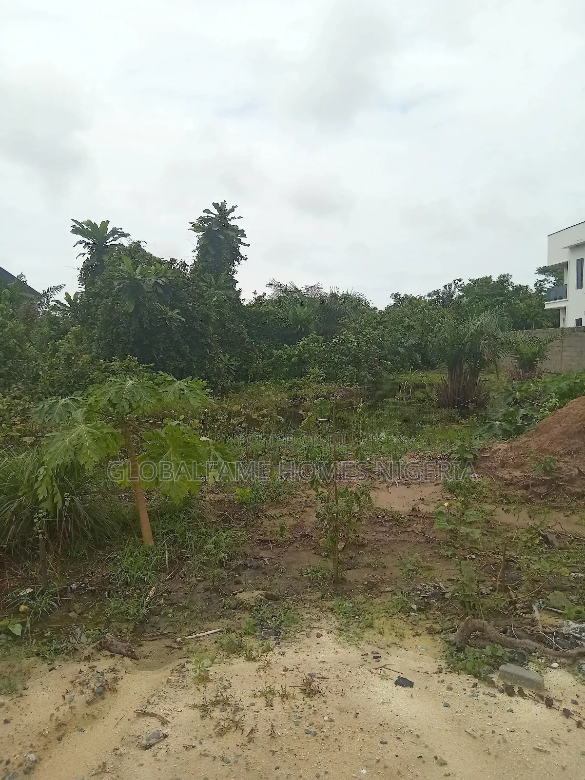 Land for Sale