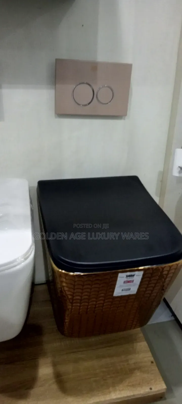 Black and Gold Concealed Wc