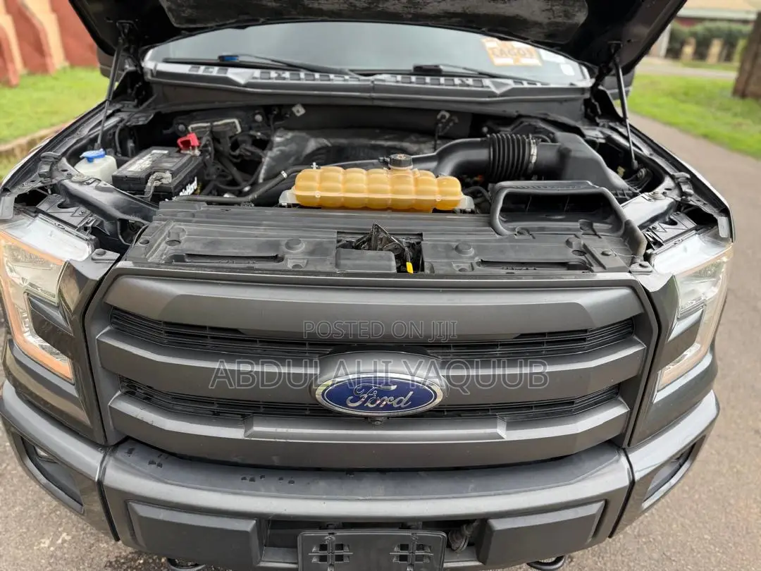 Ford F-150 2016 Gray