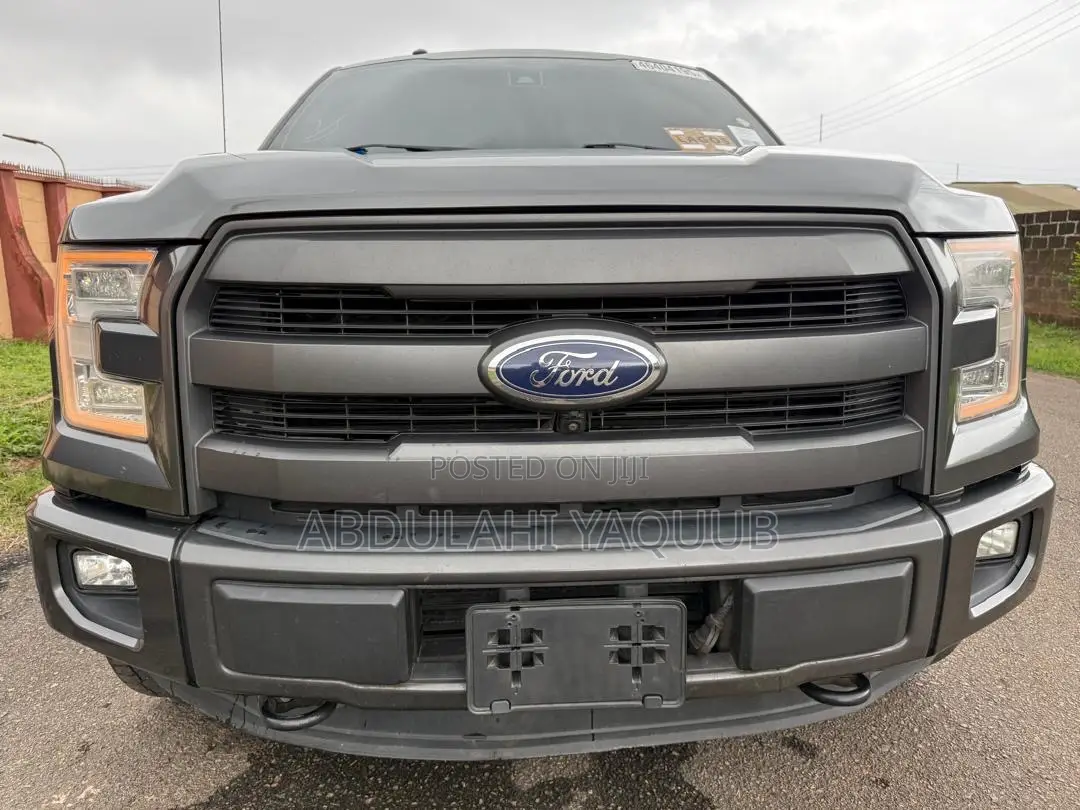 Ford F-150 2016 Gray