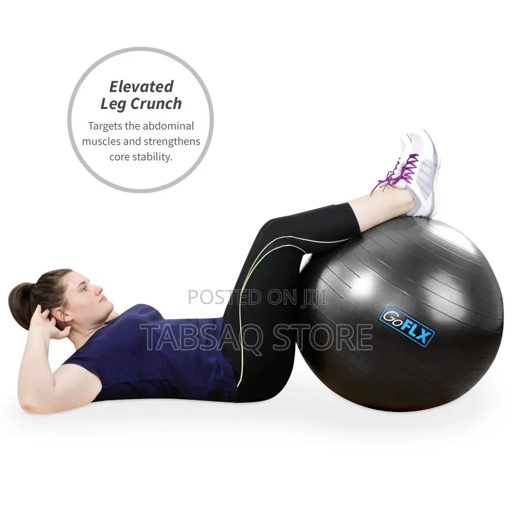 Goflx Exercise Ball